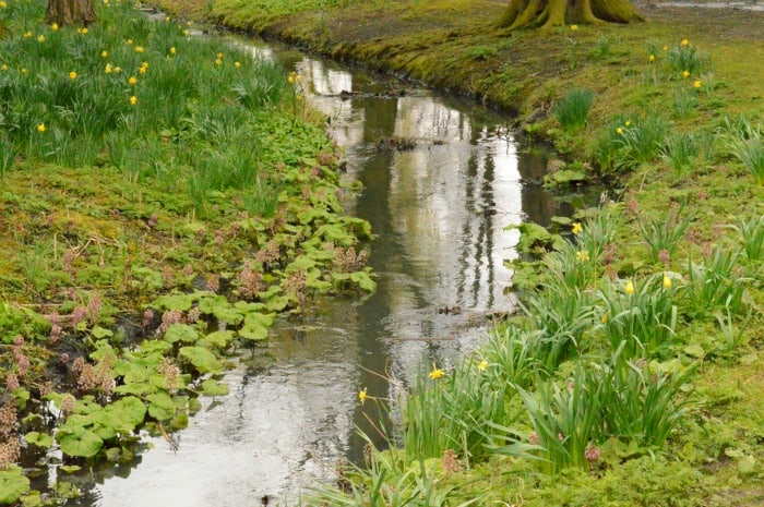 Highfields Park Lakeside Nottingham 1