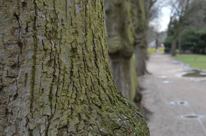 Highfields Park Lakeside Nottingham 5