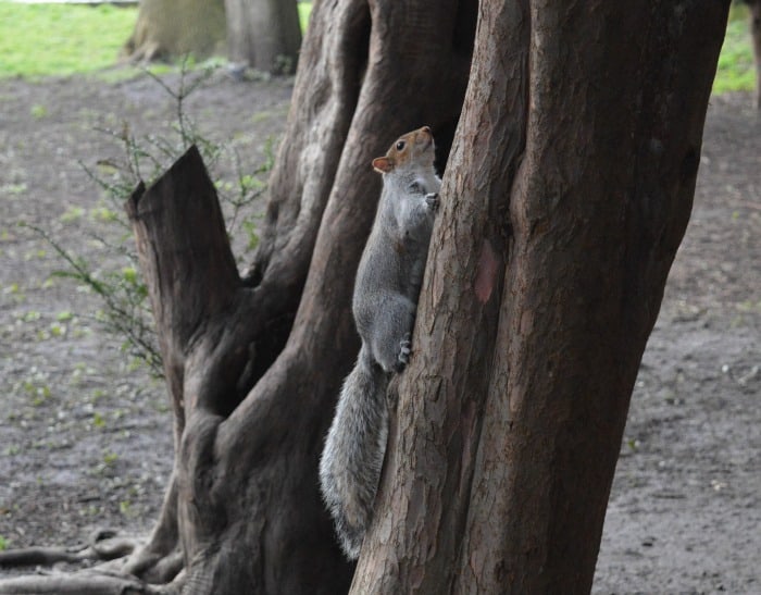 Highfields Park Lakeside Nottingham 9