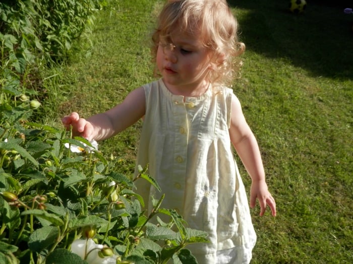 child looking at flowers