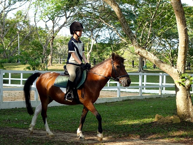 horse riding 