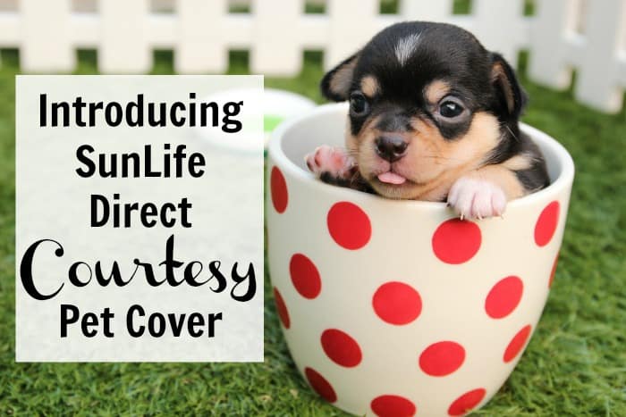 Introducing SunLife Direct Courtesy Cover