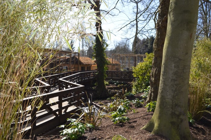 Tamarin trail at Drayton Manor zoo