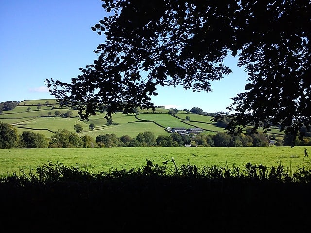 Devon Countryside