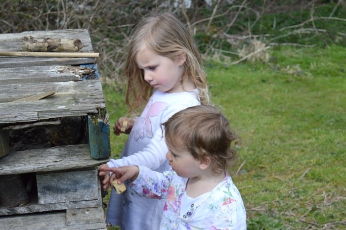 girls looking at bug house bluestone