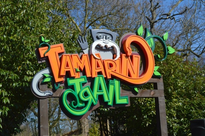 tamarin trail drayton manor zoo