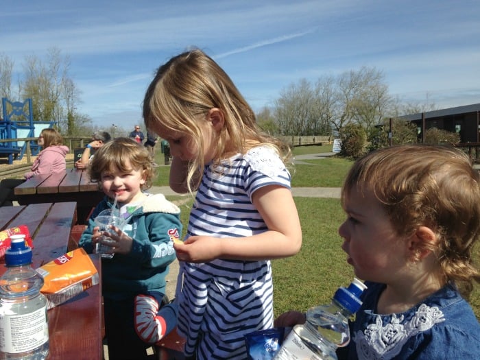 children picnic folly farm