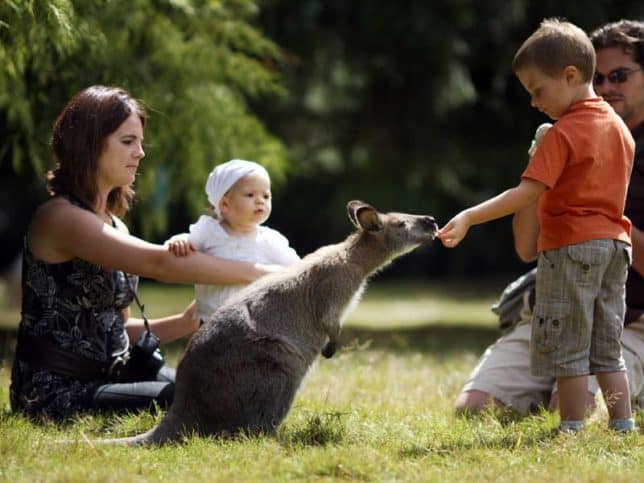 family at zoo