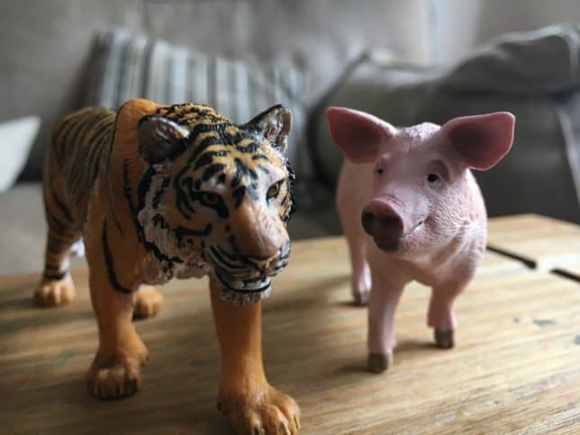 tiger and pig schleich toys