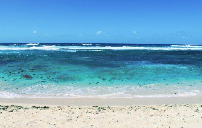 Mauritius beach indian ocean