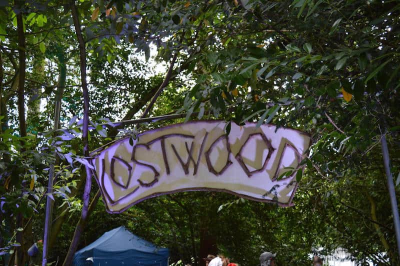 The Lostwood