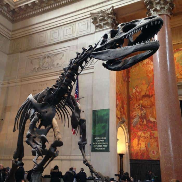dinosaur inside museum of natural history new york