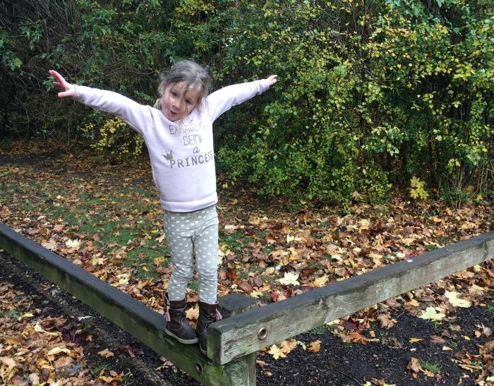 4-year-old-balancing-on-beam-in-park-autumn-picture