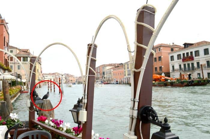 restaurant view from grand canal venice 