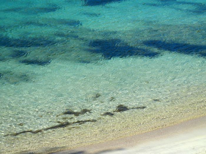 beach Ibiza