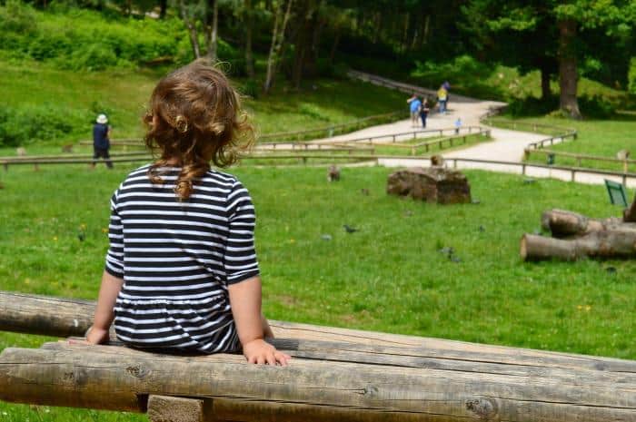 child watching monkeys at Monkey forest