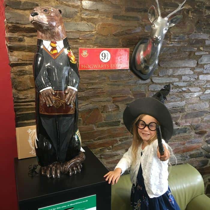 Harry Potter Otter Moorland Garden Hotel