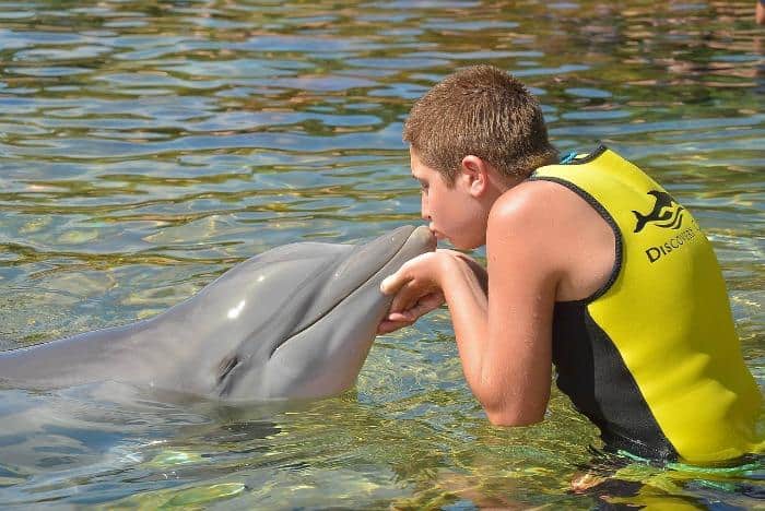 boy kissing dolphin