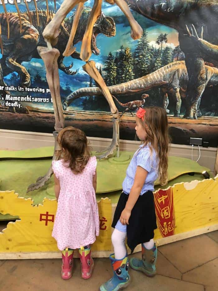 dinosaur exhibition nottingham