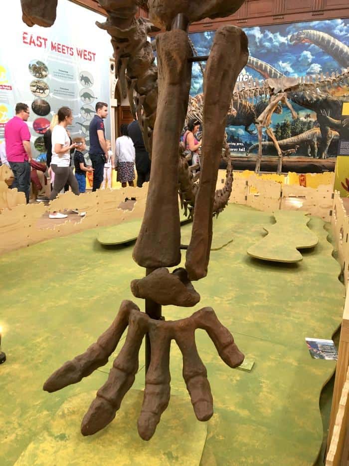 best preserved dinosaur foot