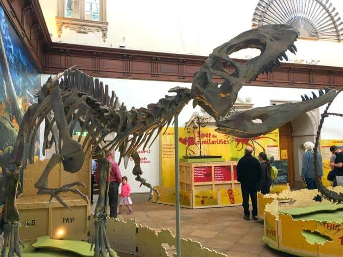 wollaton t rex