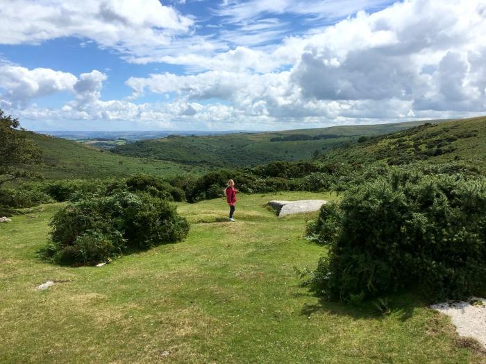 view Dartmoor