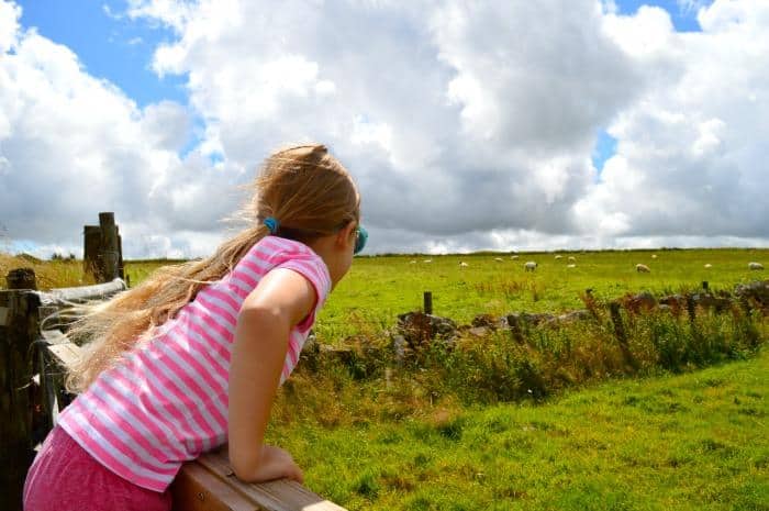 view Dartmoor Princetown