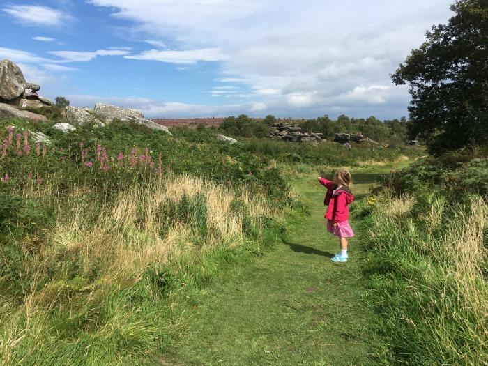 Brimham Rocks 1