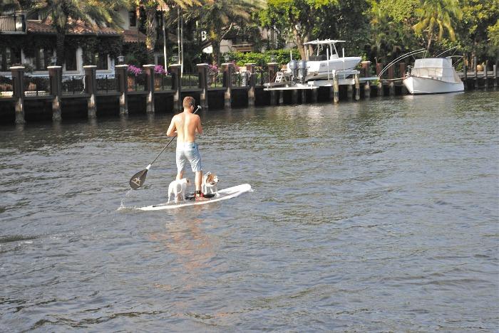 paddle board fort lauderdale 