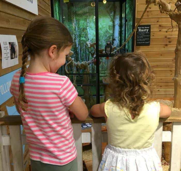 girls talking to parrot