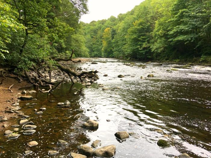 river ure hackfall woods