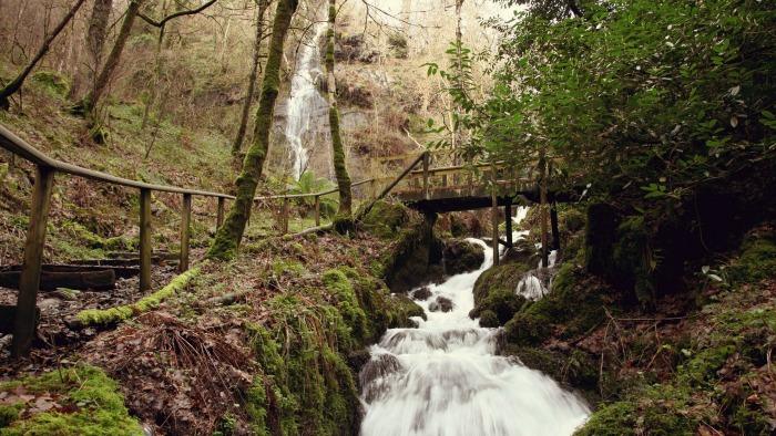 Canonteign Falls devon