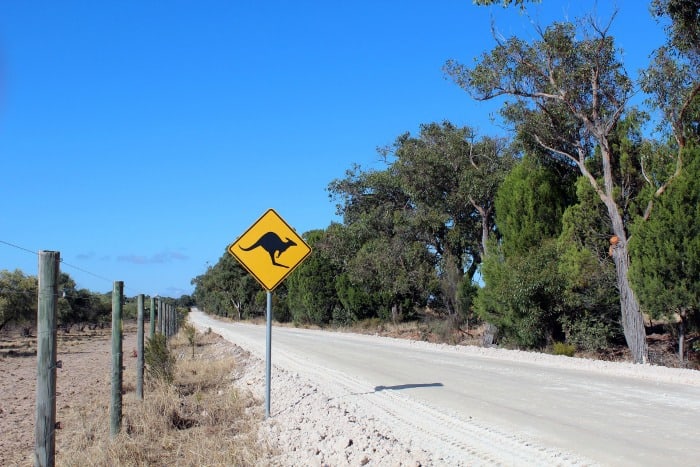 australia road kangaroo sign