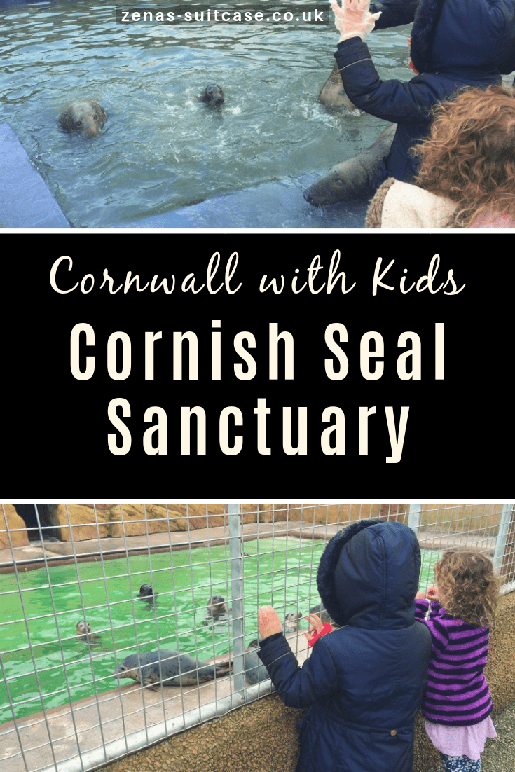 Cornwall with Kids Cornish Seal Sanctuary