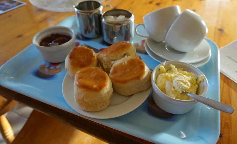 cream tea with scones, jam and cream served on a tray