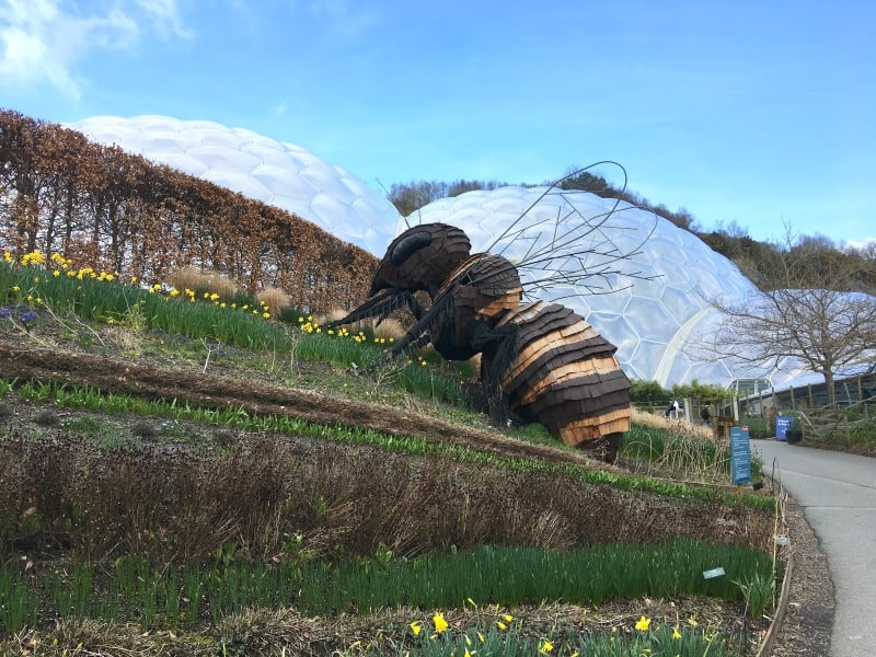 bee sculpture and biome at eden project cornwall 