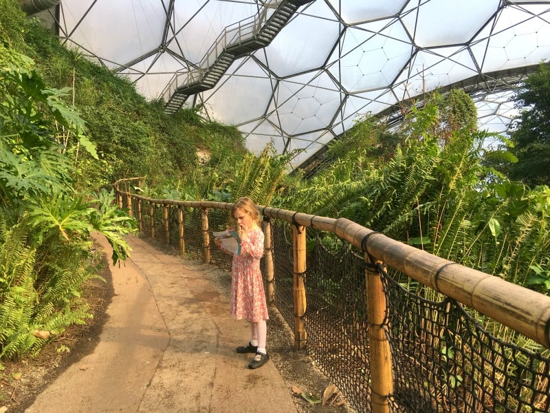 a child looking at a map inside the rainforest biome at eden project cornwall 