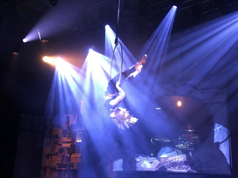 Finale the Show New Circus 