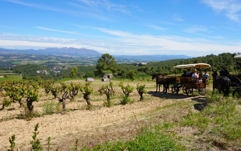 view of Montserrat