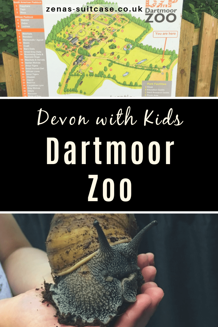 Things to do in Devon with Kids - Dartmoor Zoo