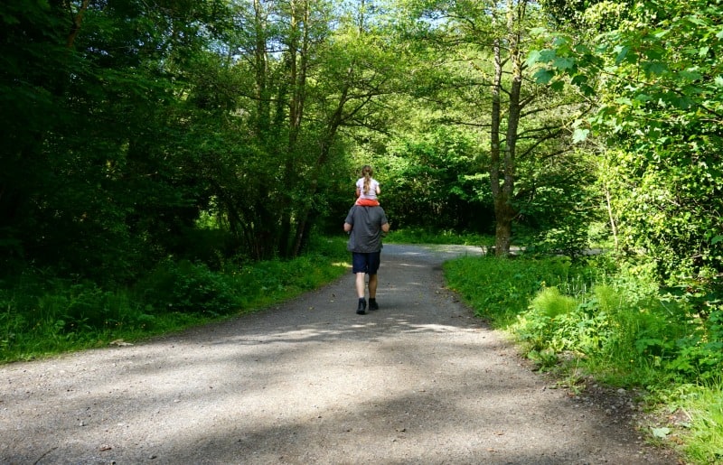 family walking in mill wood penrice gower