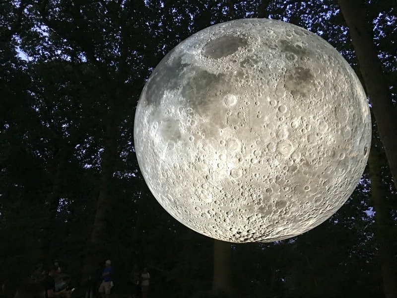 museum of the moon timber festival
