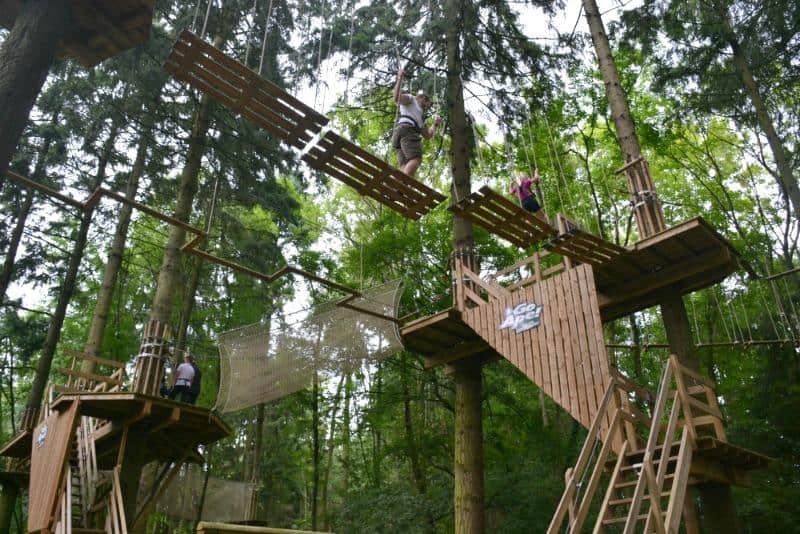 Go Ape for teenagers 