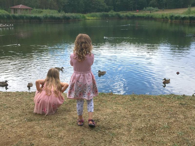 feeding the ducks at conkers