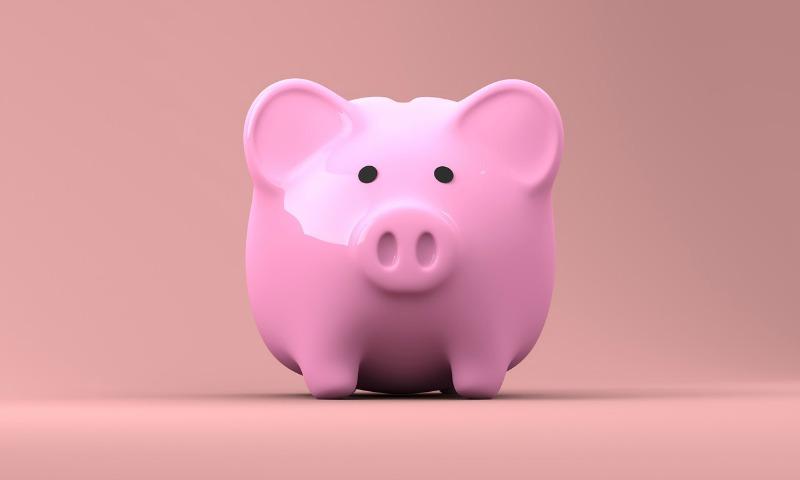 pink piggy bank