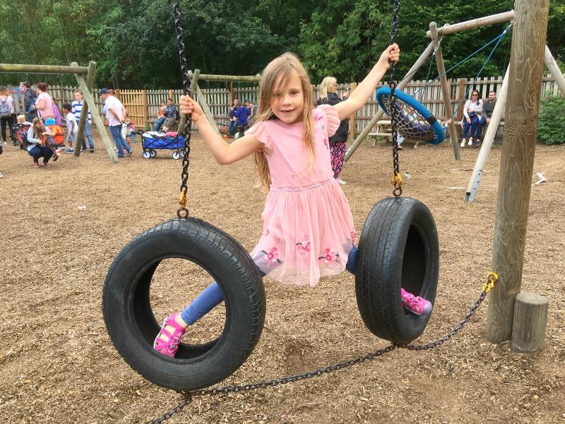 play area conkers