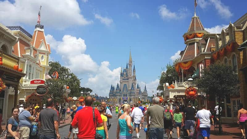 Disney Land Magic Castle