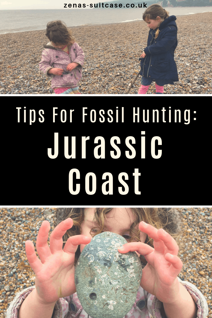 Tips For Fossil Hunting around the Jurassic Coast UK 