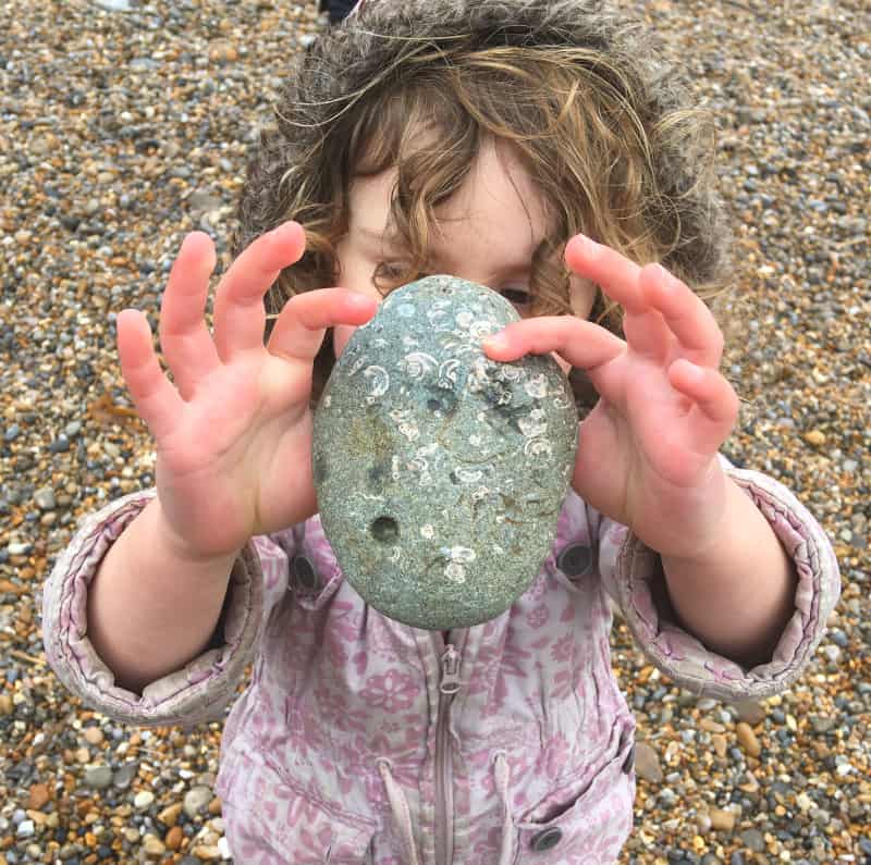 Tips For Fossil Hunting Along The Jurassic Coast | Zena's Suitcase