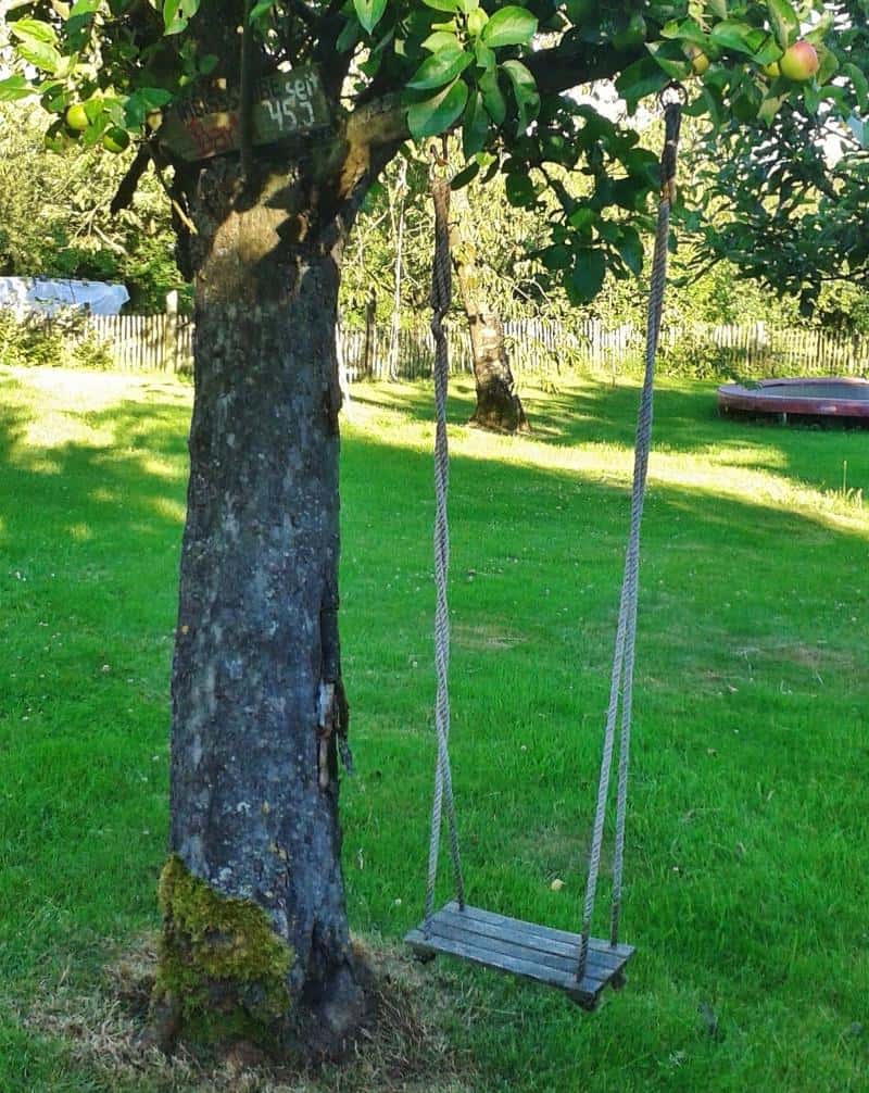 swing from tree in garden